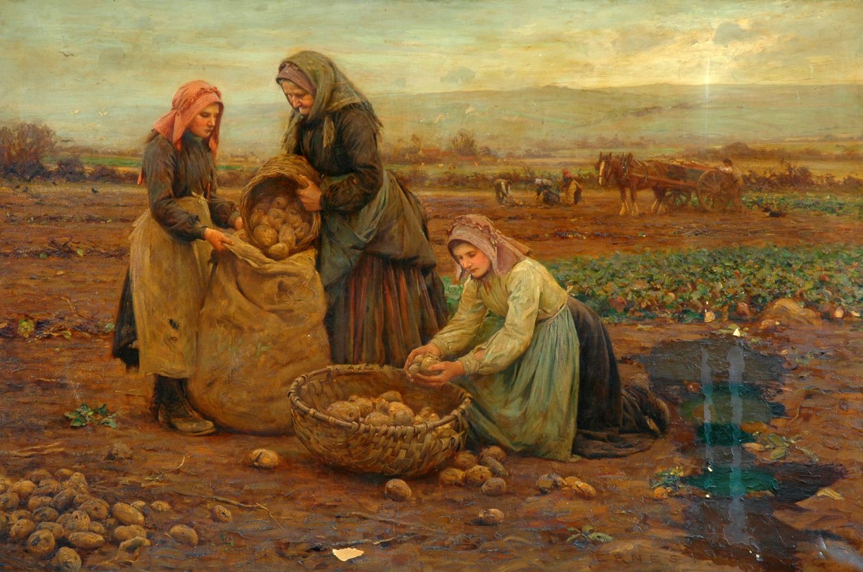 The Potato Pickers (óleo sobre lienzo) de Ernest Higgins Rigg