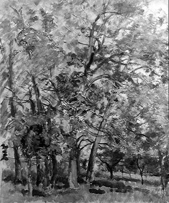 A través de los árboles de Ernest Rouart
