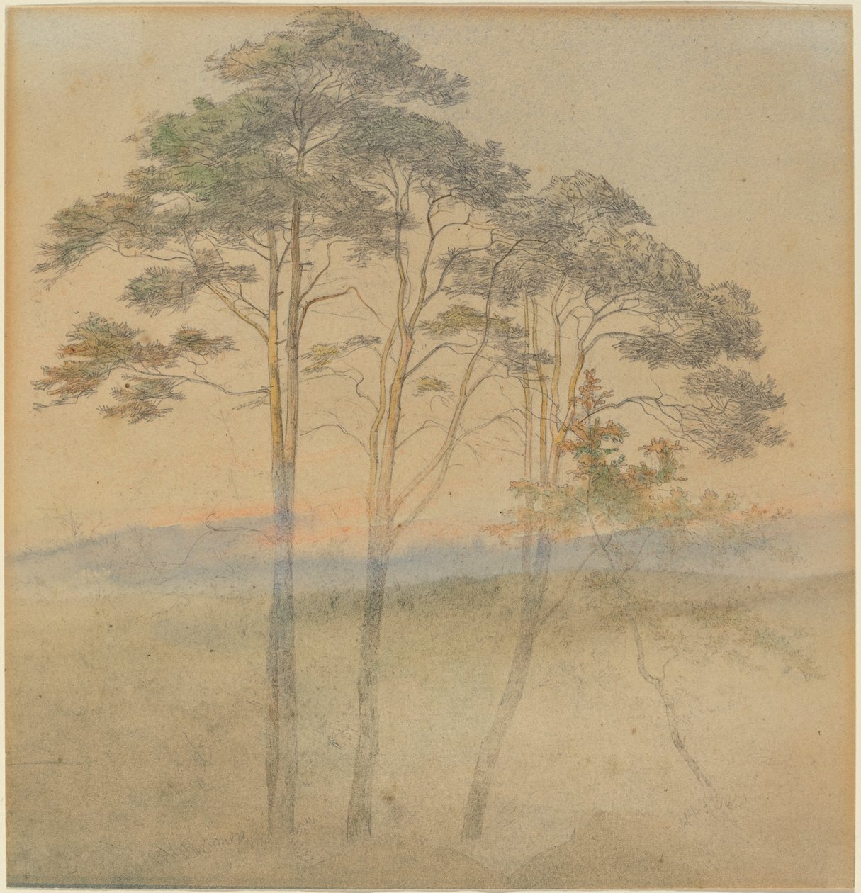 Pinos en una niebla matutina de Ernst Ferdinand Oehme