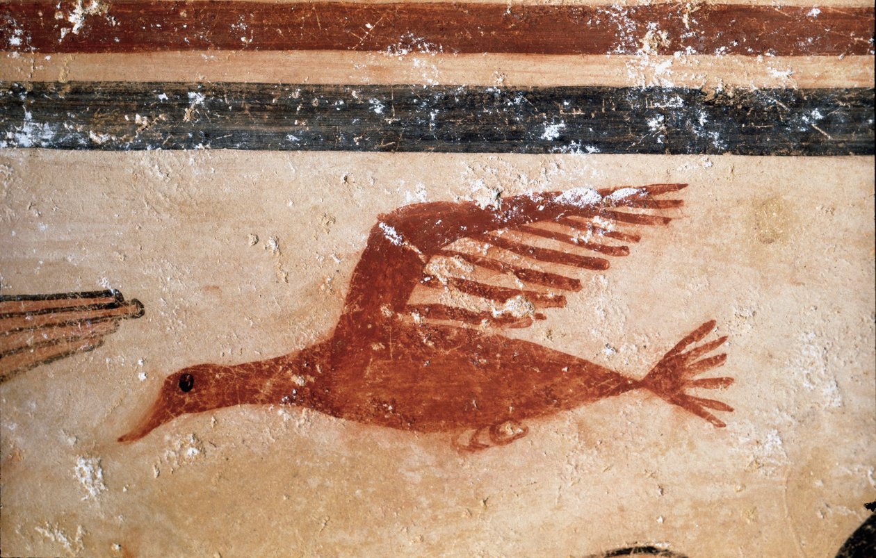 Un pájaro. (Detalle de fresco, 530 a.C.) de Etruscan