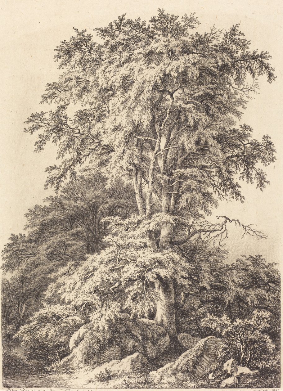 Bosque de hayas de Eugene Bléry