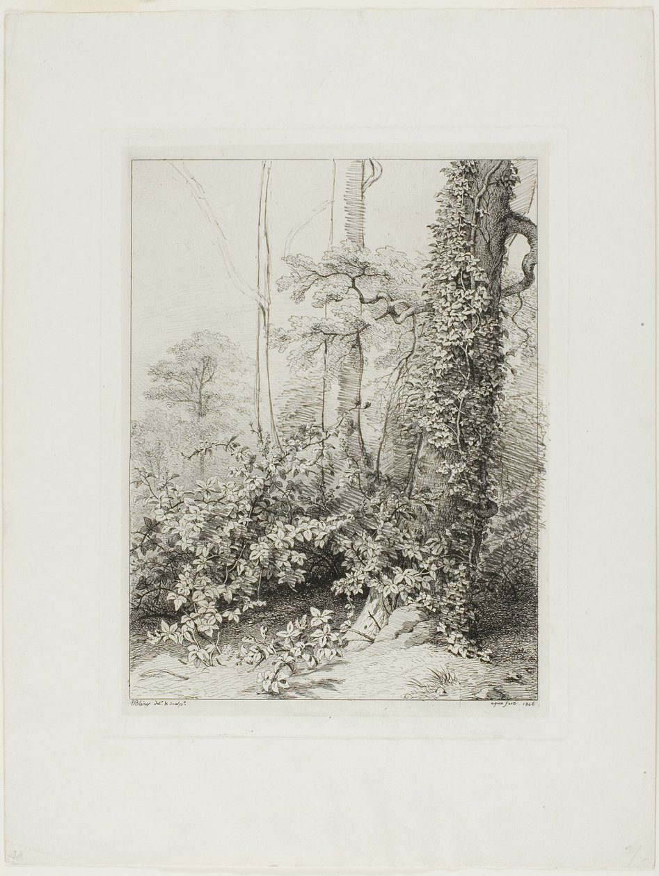Zarza y Hiedra de Eugene Bléry