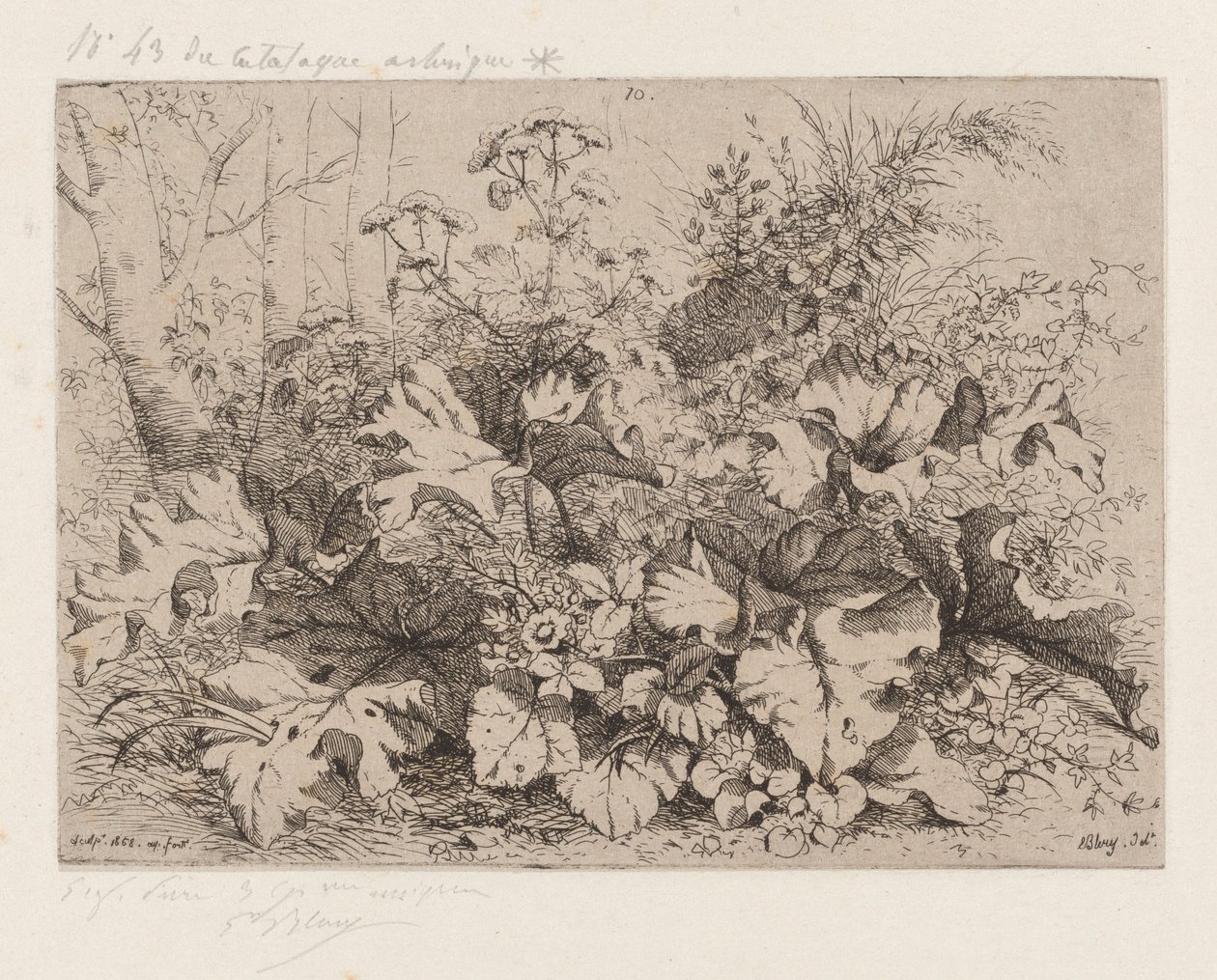 Bardana en flor, 1858 de Eugene Bléry
