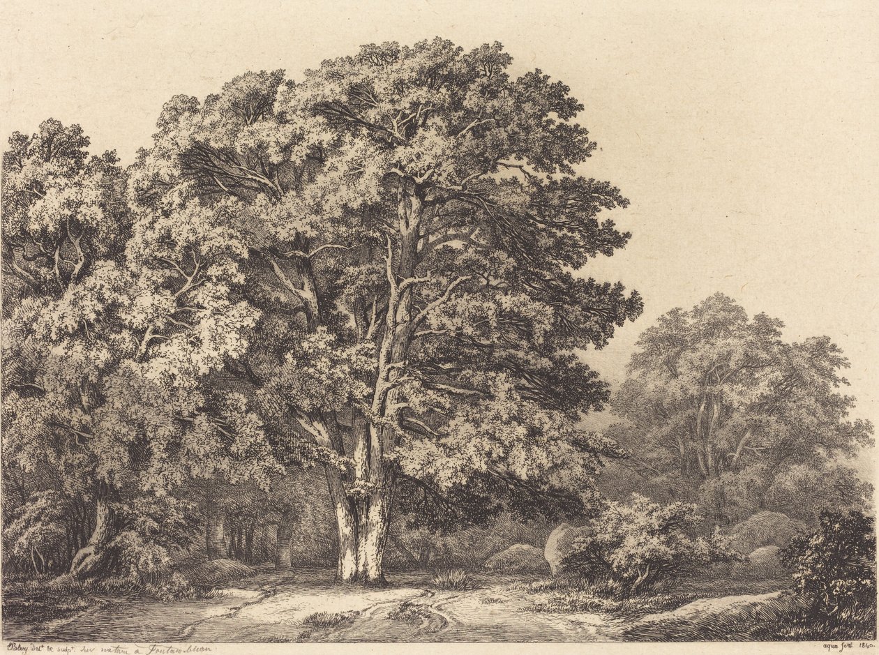 Entrada a un bosque de Eugene Bléry