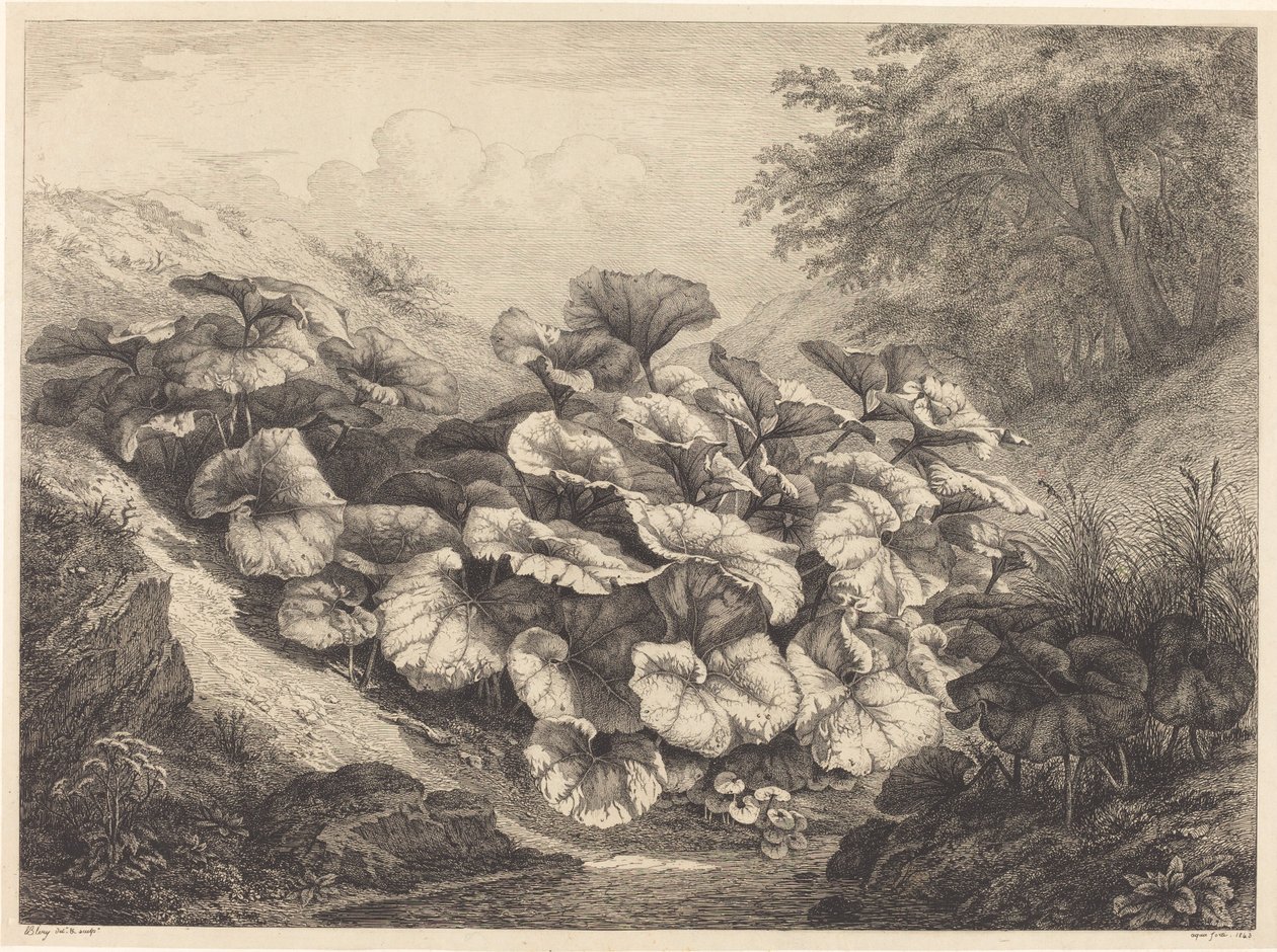 Gran Tusilago de Eugene Bléry