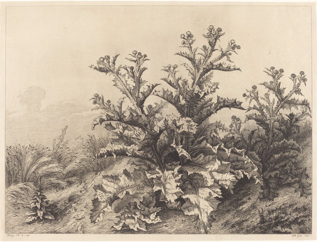 Gran cardo, 1843 de Eugene Bléry