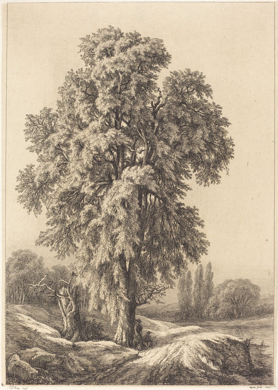 El olmo de Eugene Bléry