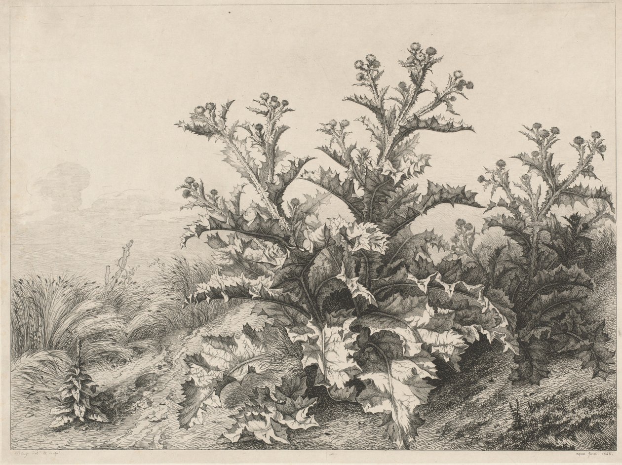 El Gran Cardo de Eugene Bléry