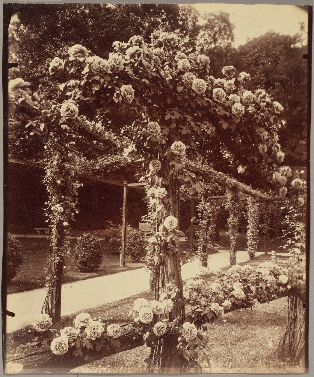 [Jardin de Bagatelle] de Eugène Atget
