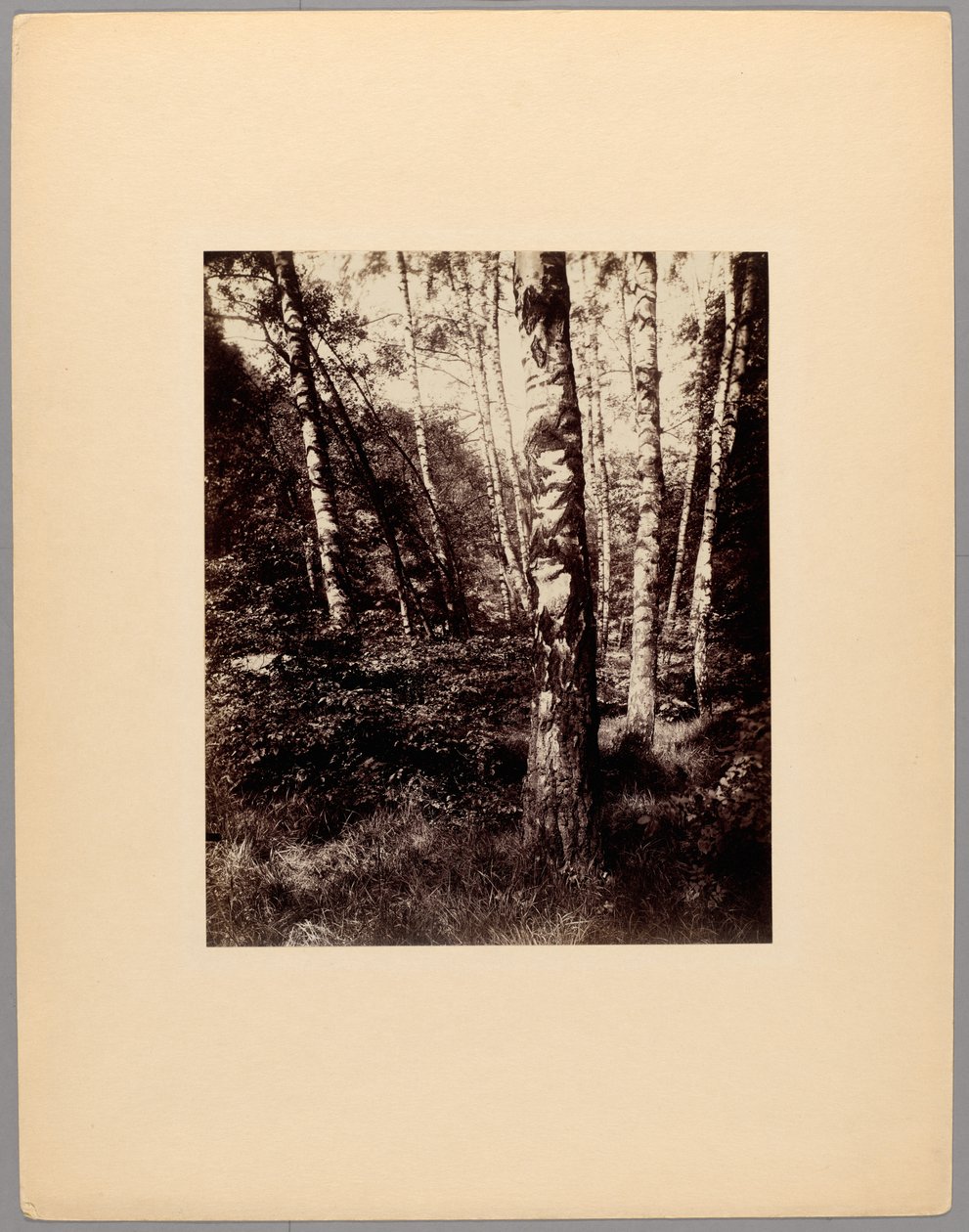 Parque de Saint-Cloud de Eugène Atget
