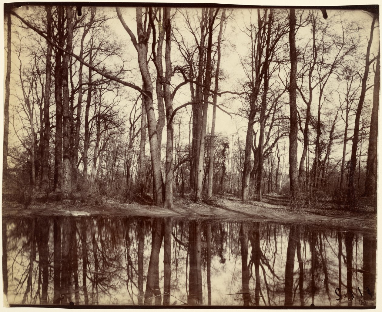 Saint-Cloud de Eugène Atget