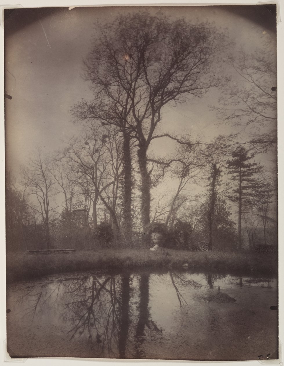 The Park at Sceaux [April 1925, 7a.m.] de Eugène Atget