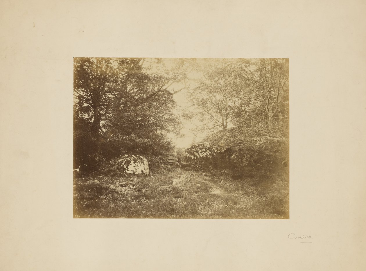 [Estudio del paisaje] de Eugène Cuvelier