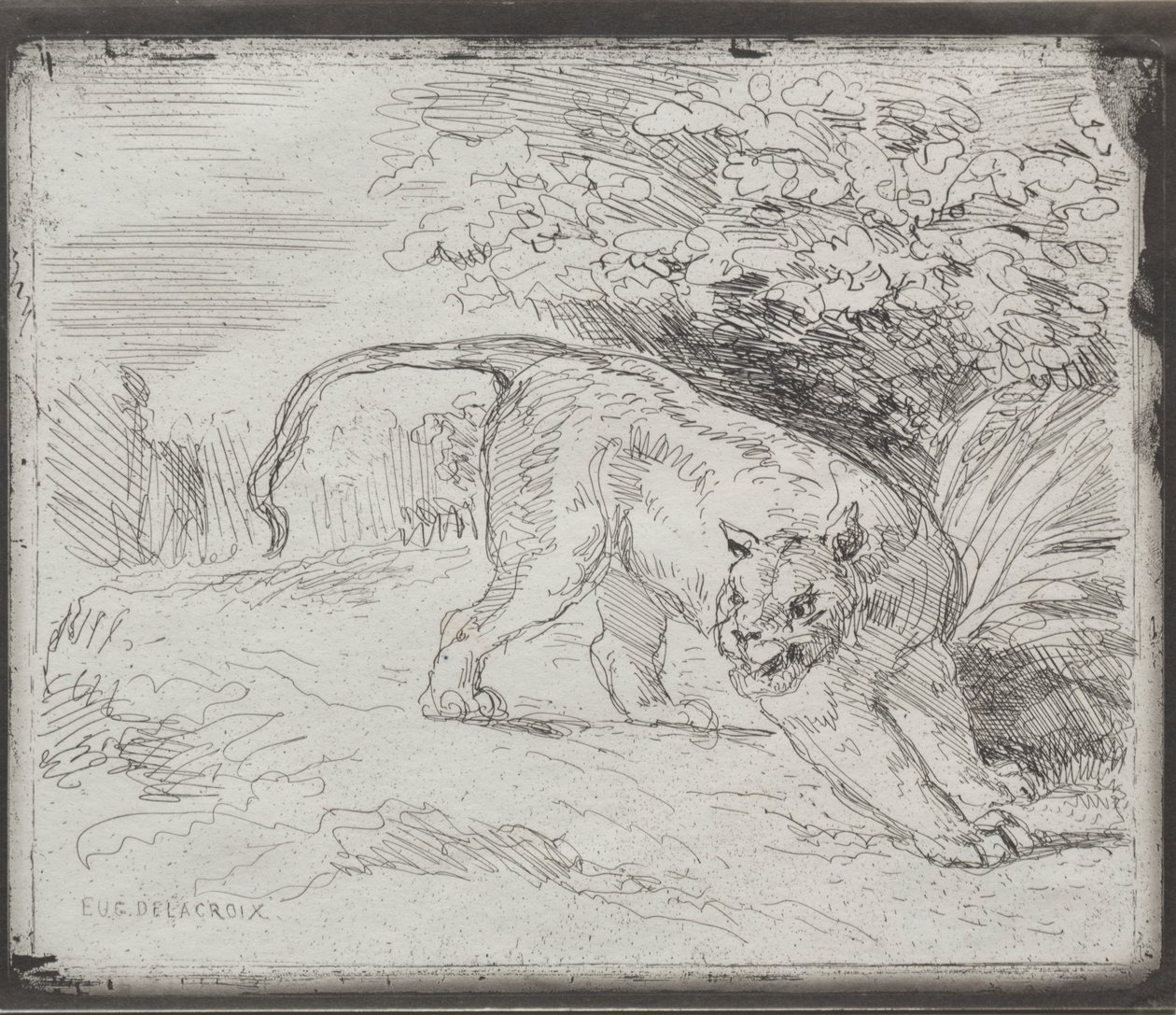 Un tigre atrapado de Eugène Delacroix