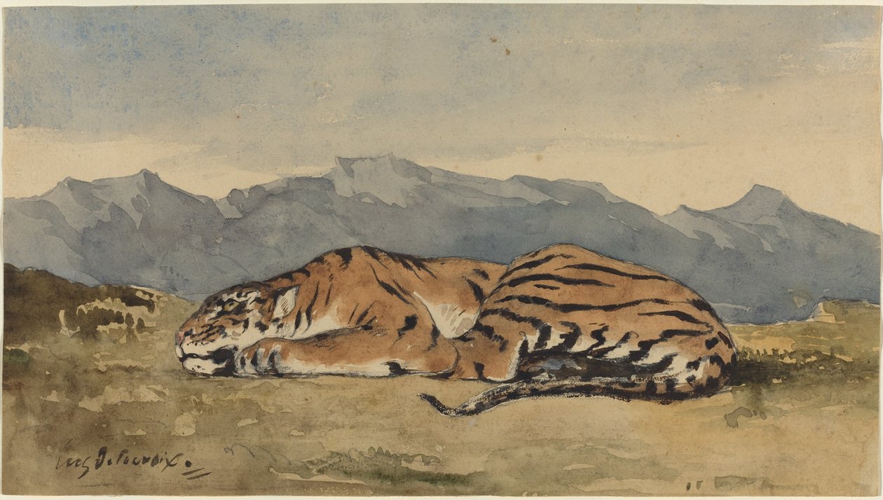 Tigre de Eugène Delacroix