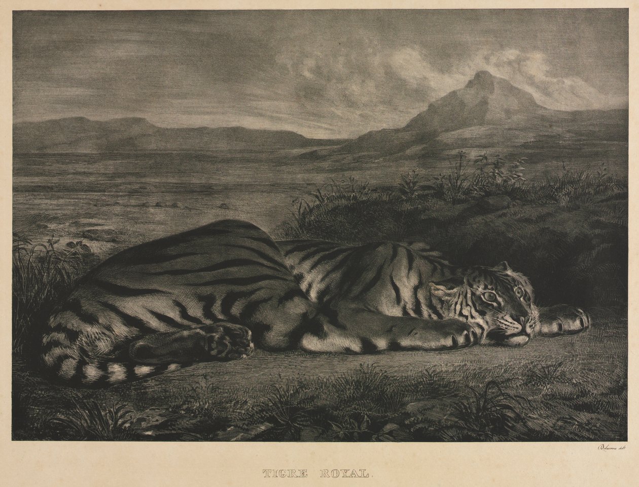 Tigre real de Eugène Delacroix