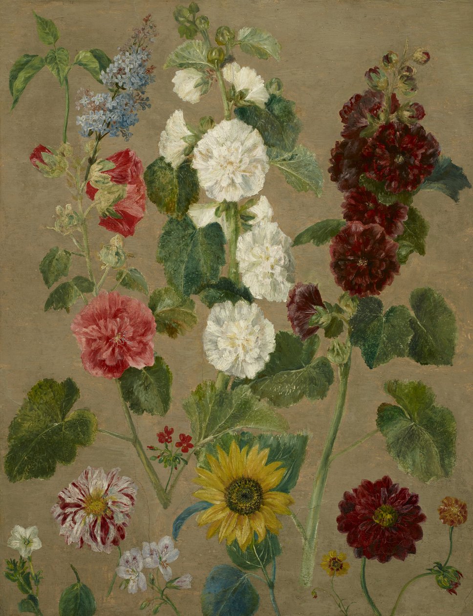 Sin título [flores] de Eugène Delacroix