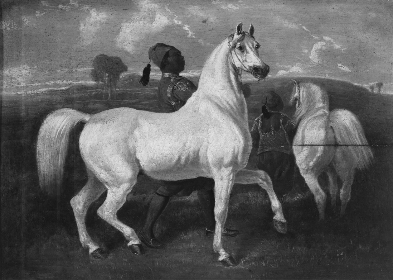 Caballos árabes, siglo XIX de Eugène Fromentin