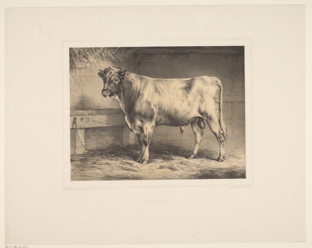 Stier
Diverse dieren (título de la serie)
Estudios sobre animales (título de la serie) de Eugène Verboeckhoven
