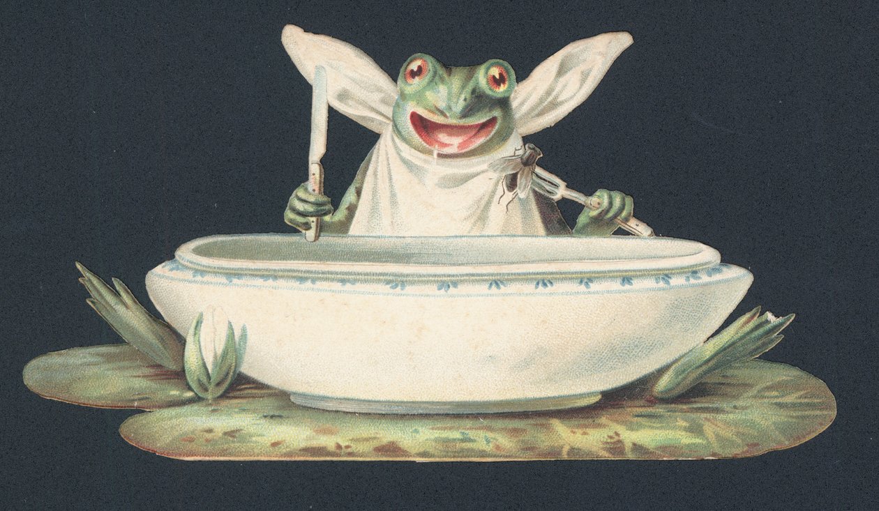 Una rana comiendo una mosca (litografía en color) de European School