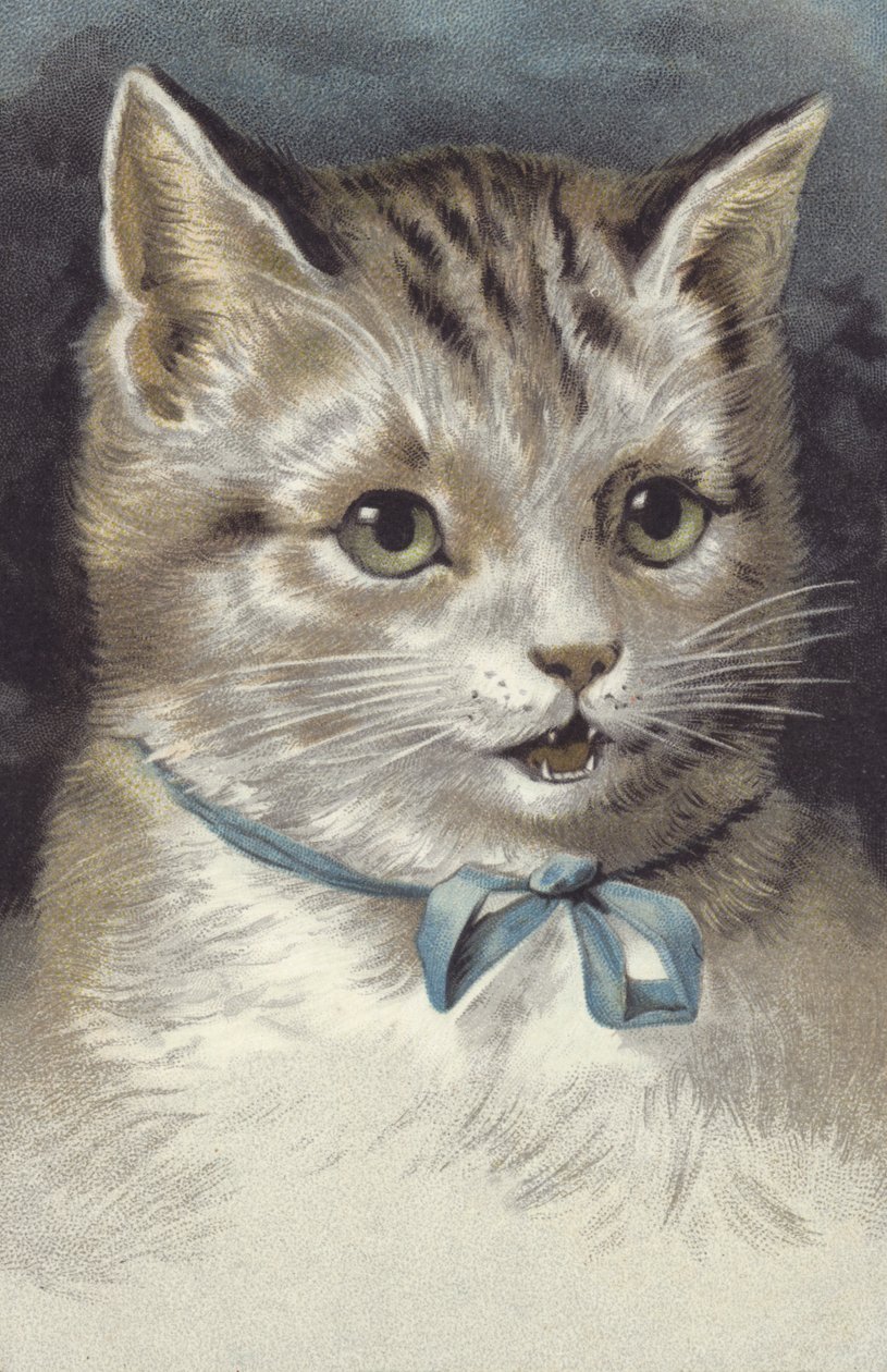 Gato con collar azul (cromolito) de European School