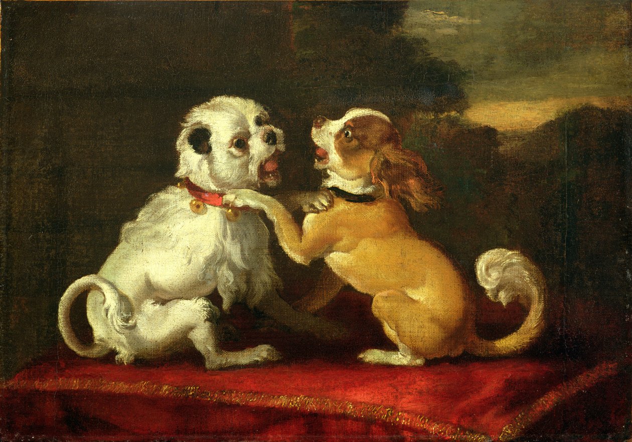 Perros jugando de European School