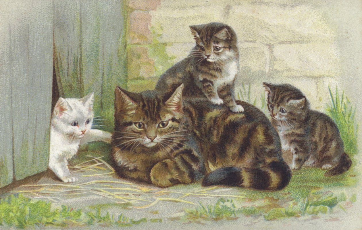 Gata atigrada con tres gatitos (cromolito) de European School