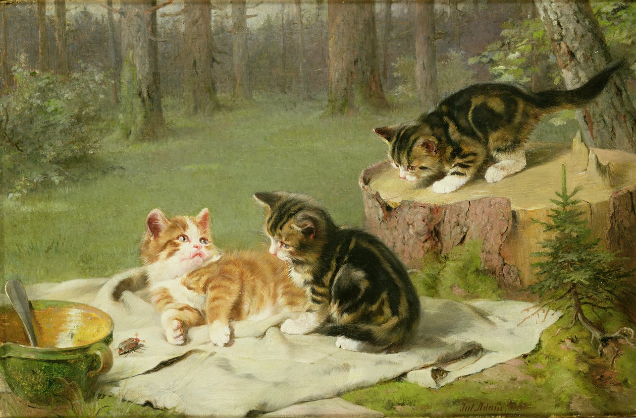 Gatitos jugando de Ewald Honnef