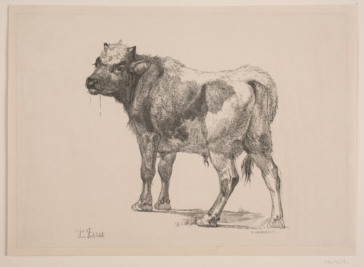 Ternero de Pie de F. Hendriksen