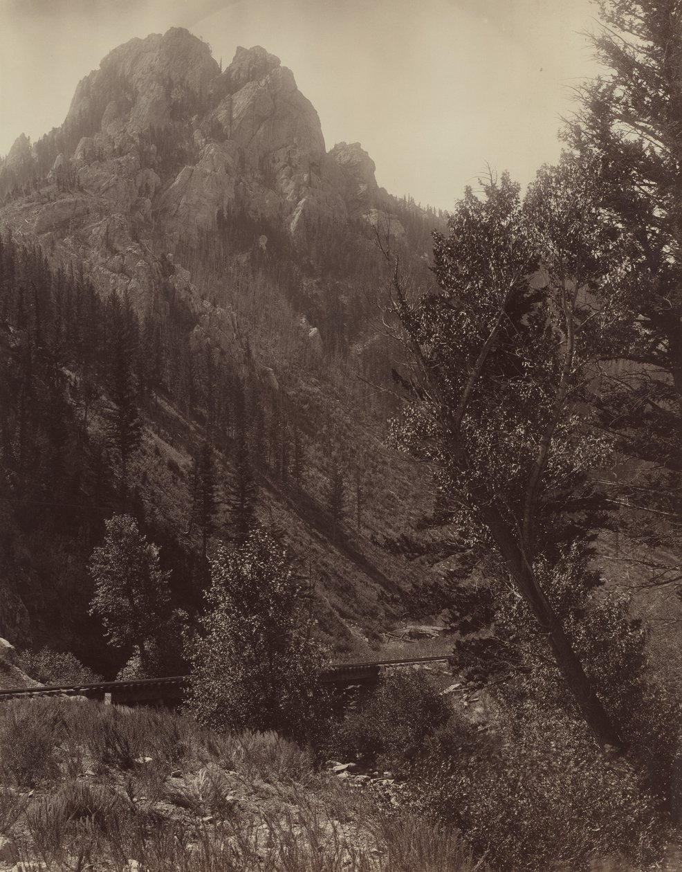 Sin título, c. 1884 de F. Jay Haynes