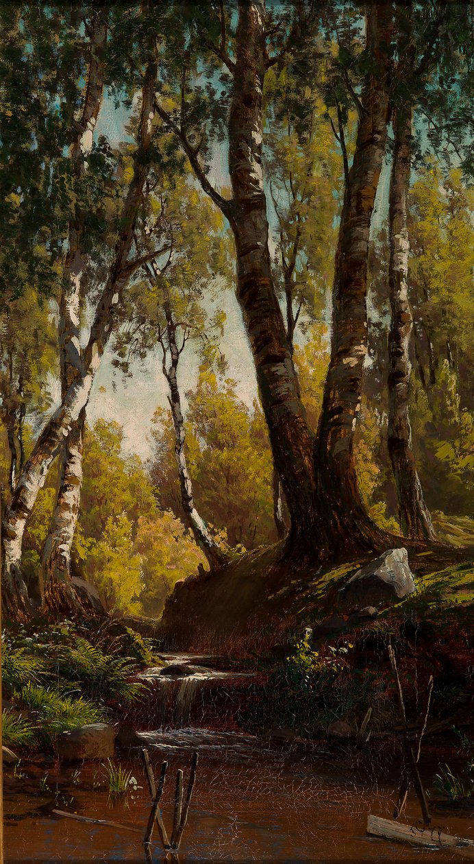 Arroyo Forestal de Fanny Churberg