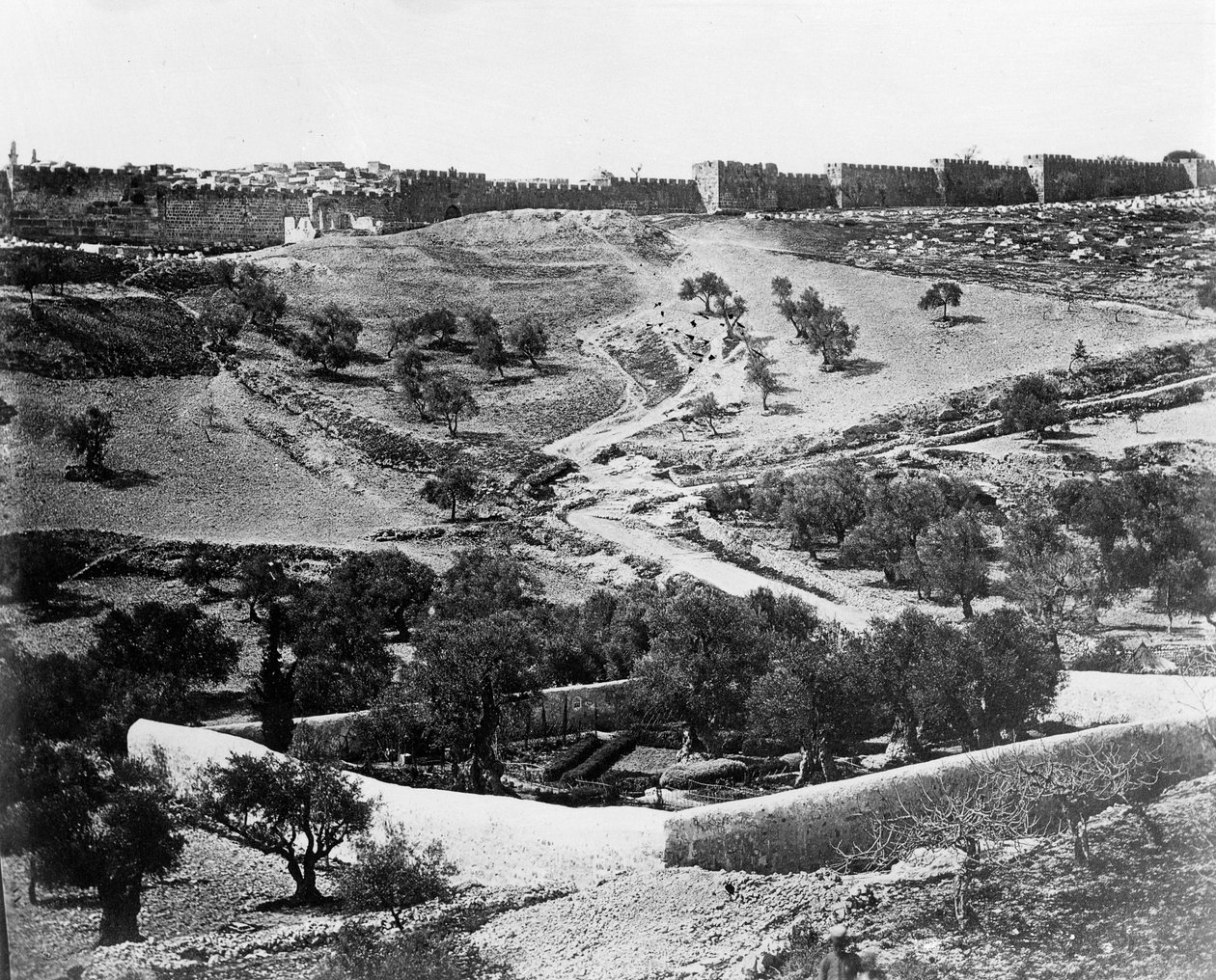 Jardín de Getsemaní de Felice Beato