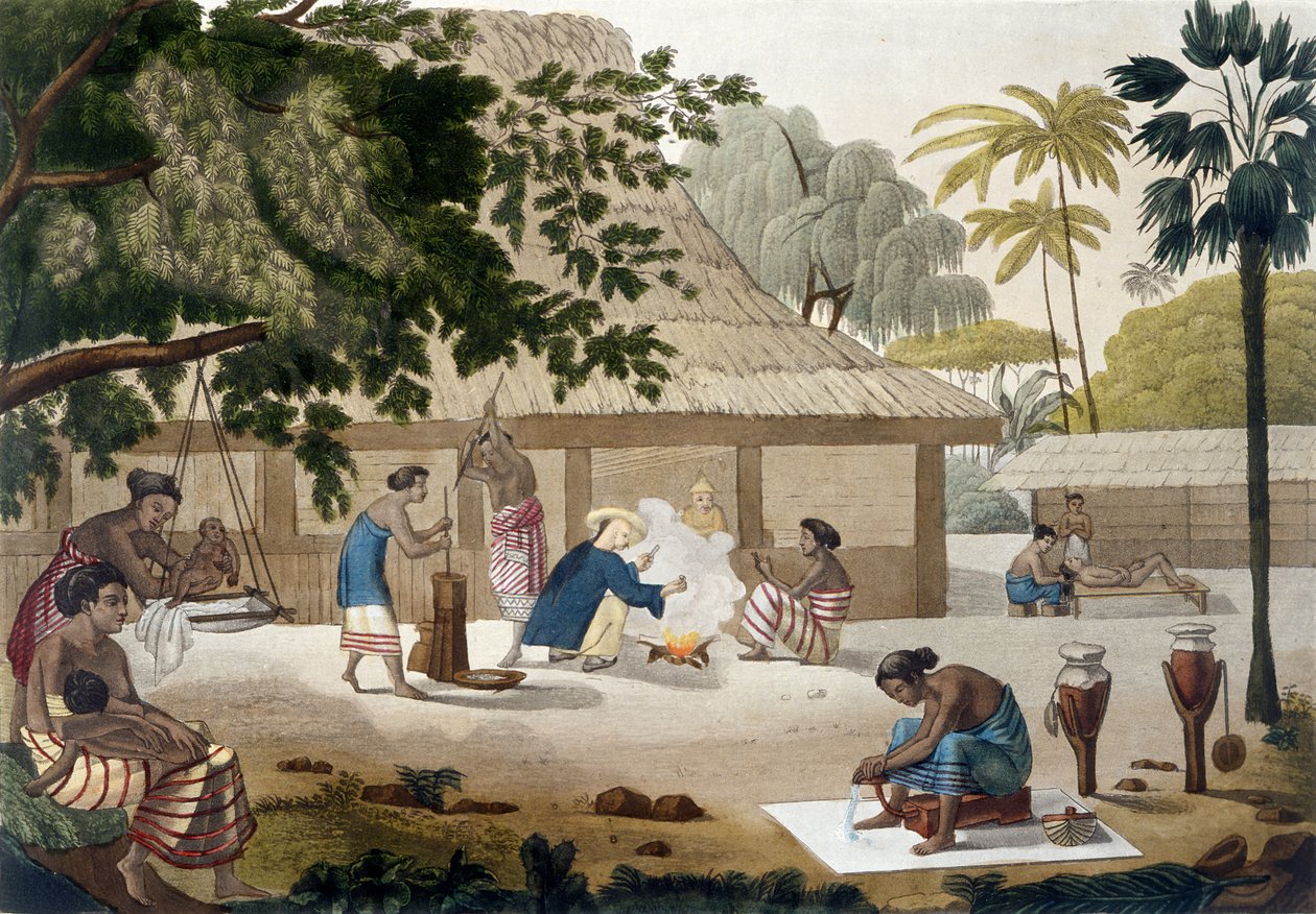 Vida doméstica en Kupang, Timor, lámina 10 de 