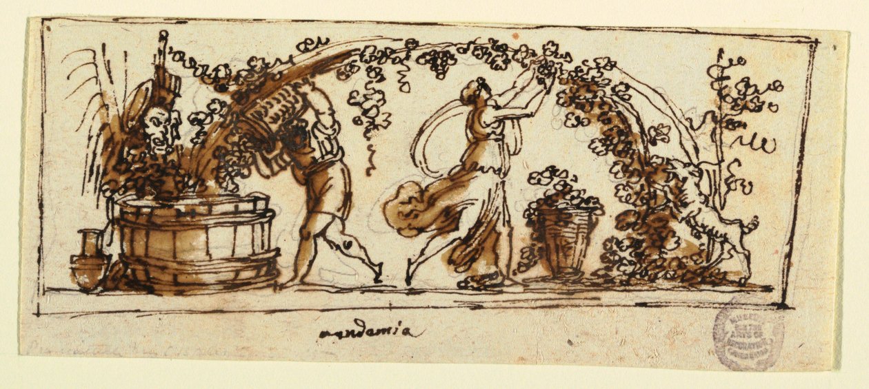 Elaboración de vino de Felice Giani