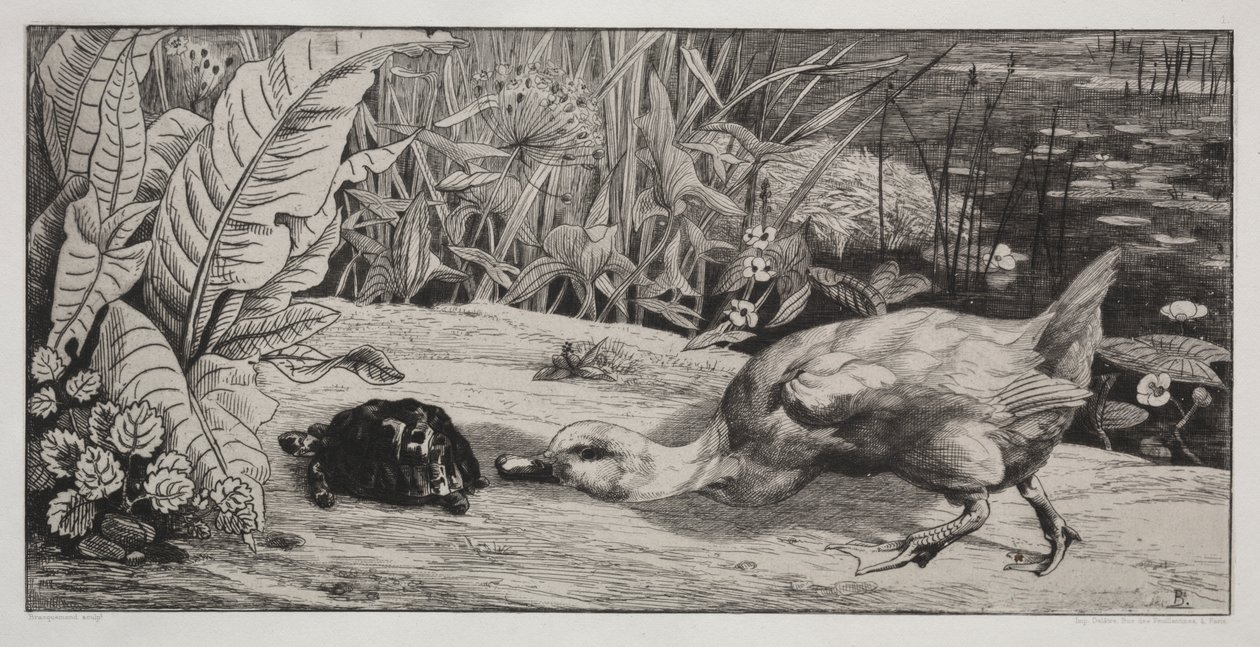 Un desconocido de Felix Bracquemond