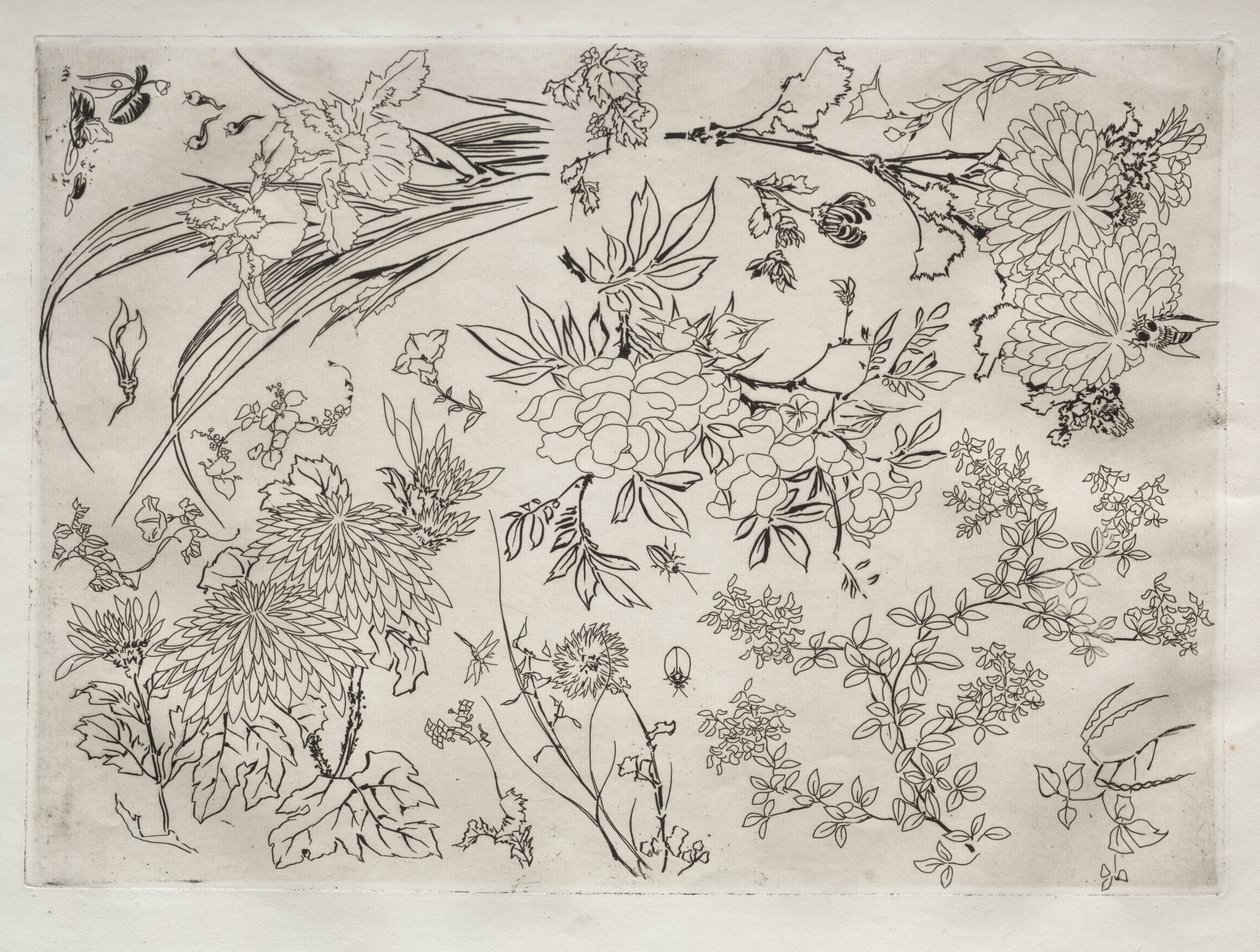 Servicio de Cena (servicio Rousseau): Flores (n.º 23) de Felix Bracquemond