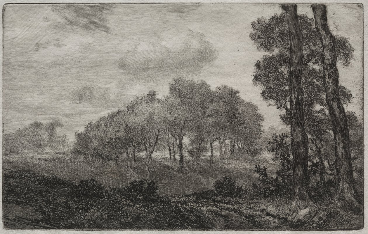 Paisaje, después de Français de Felix Bracquemond