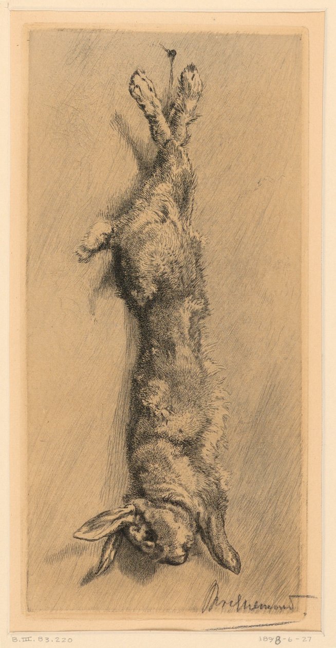 El conejo de campo de Felix Bracquemond