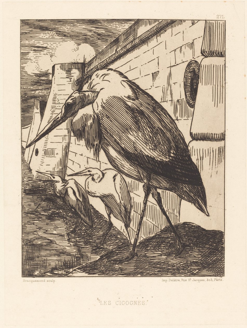 Las Cigüeñas de Felix Bracquemond