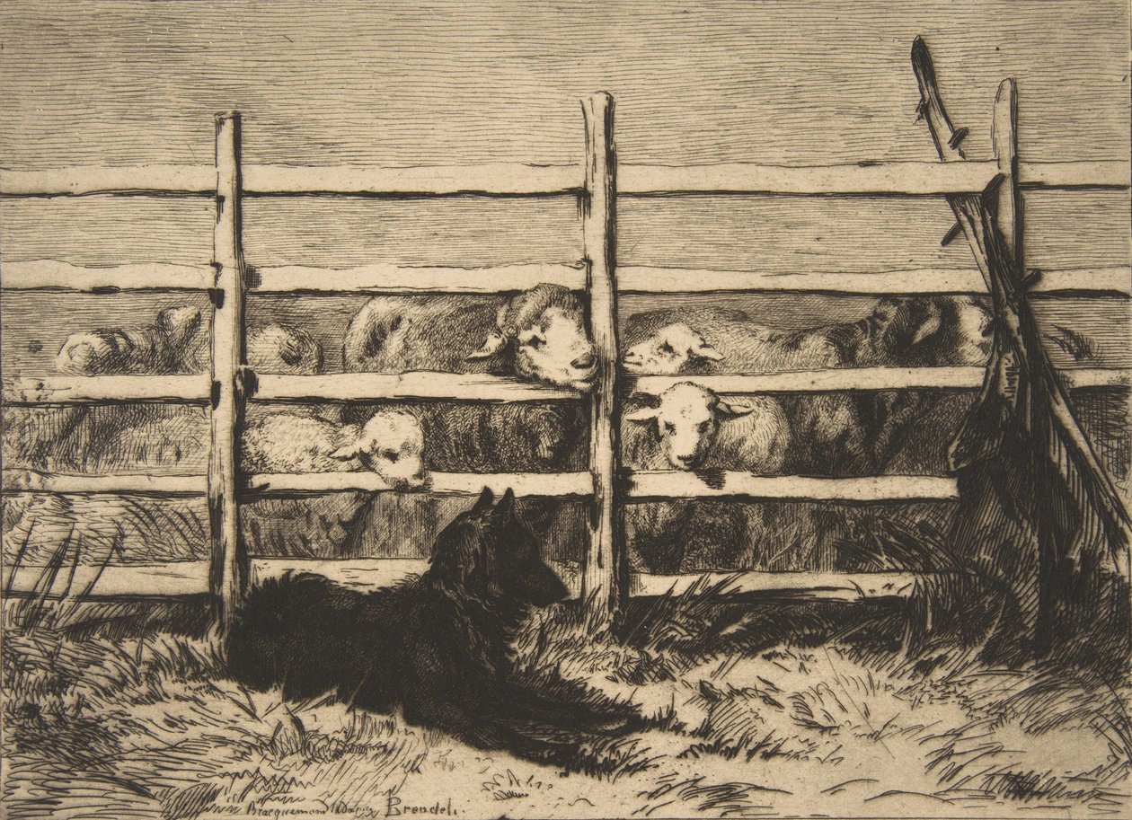 Ovejas en el corral de Felix Bracquemond