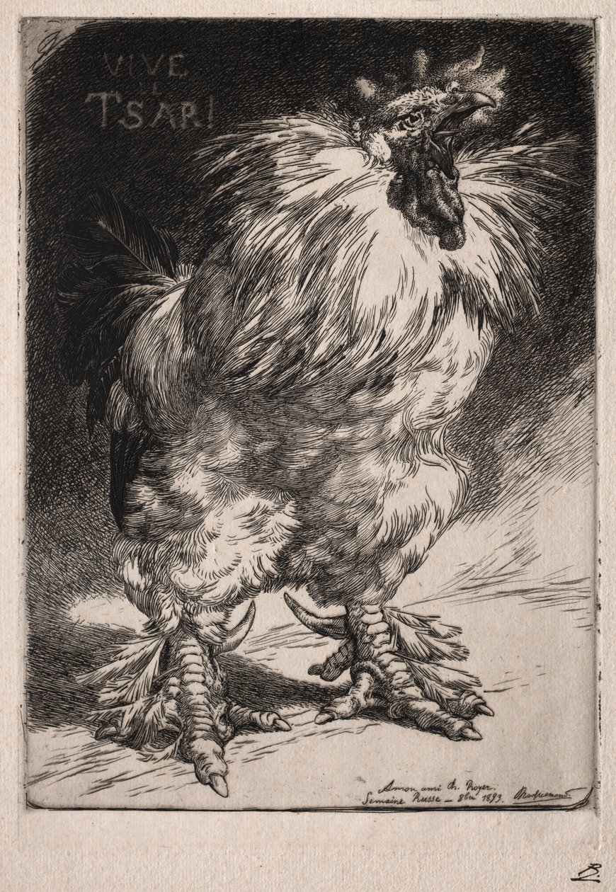el gallo francés de Felix Bracquemond