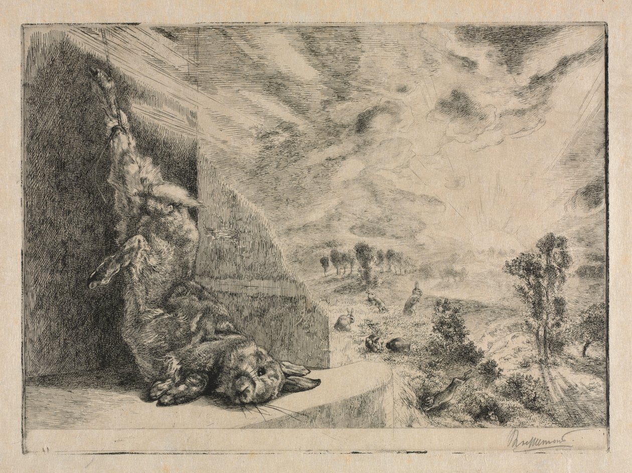 El conejo salvaje de Felix Bracquemond