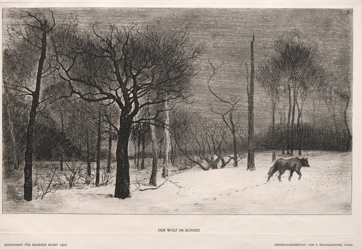 Invierno de Felix Bracquemond