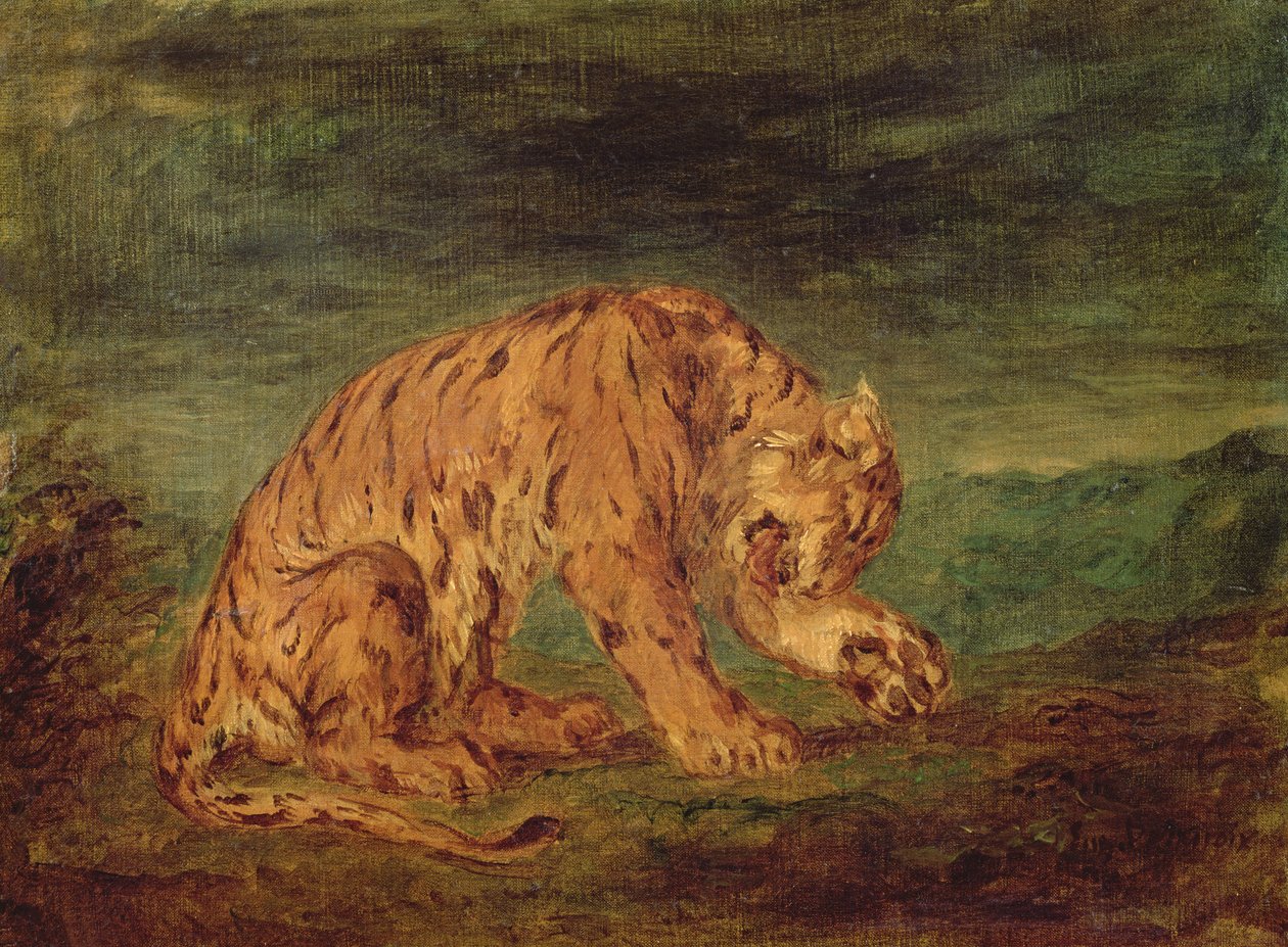 Tigre lamiendo una pata de Ferdinand Victor Eugene Delacroix