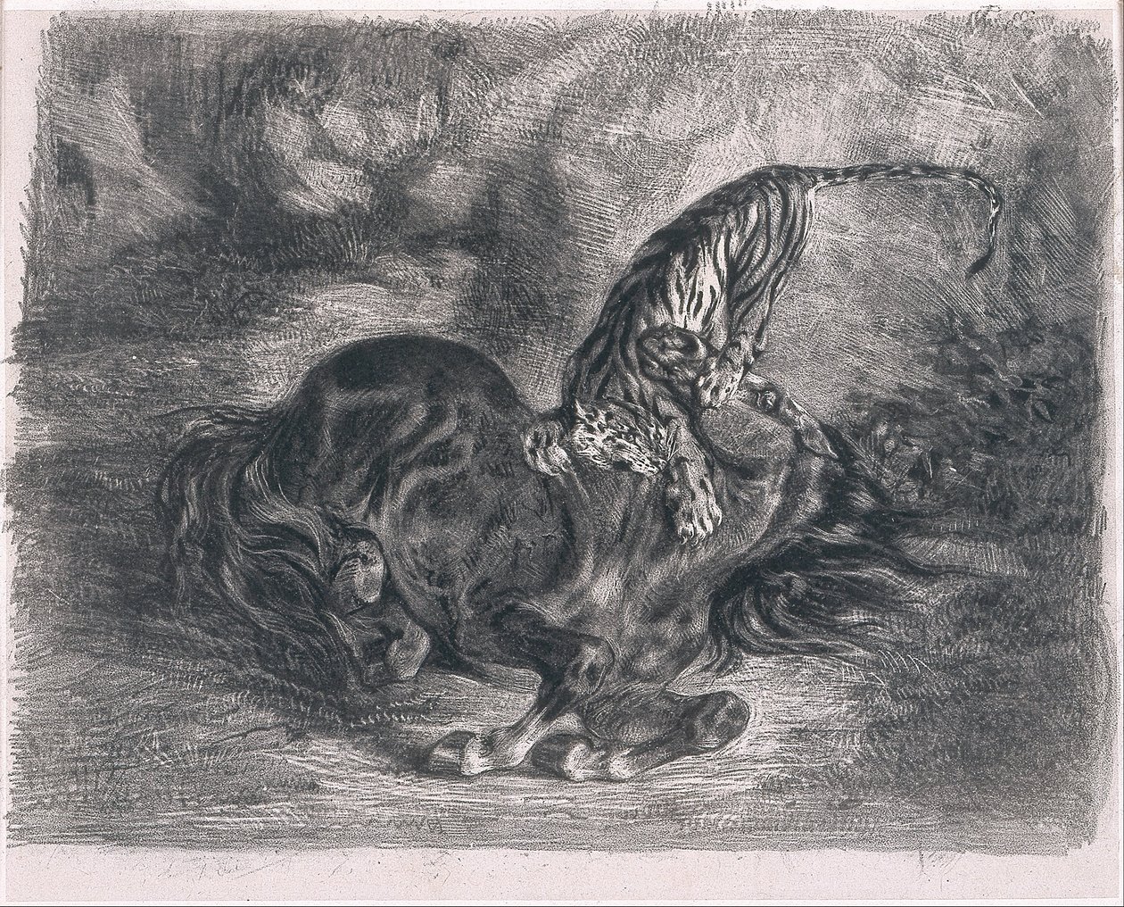 Caballo salvaje derribado por un tigre de Ferdinand Victor Eugene Delacroix