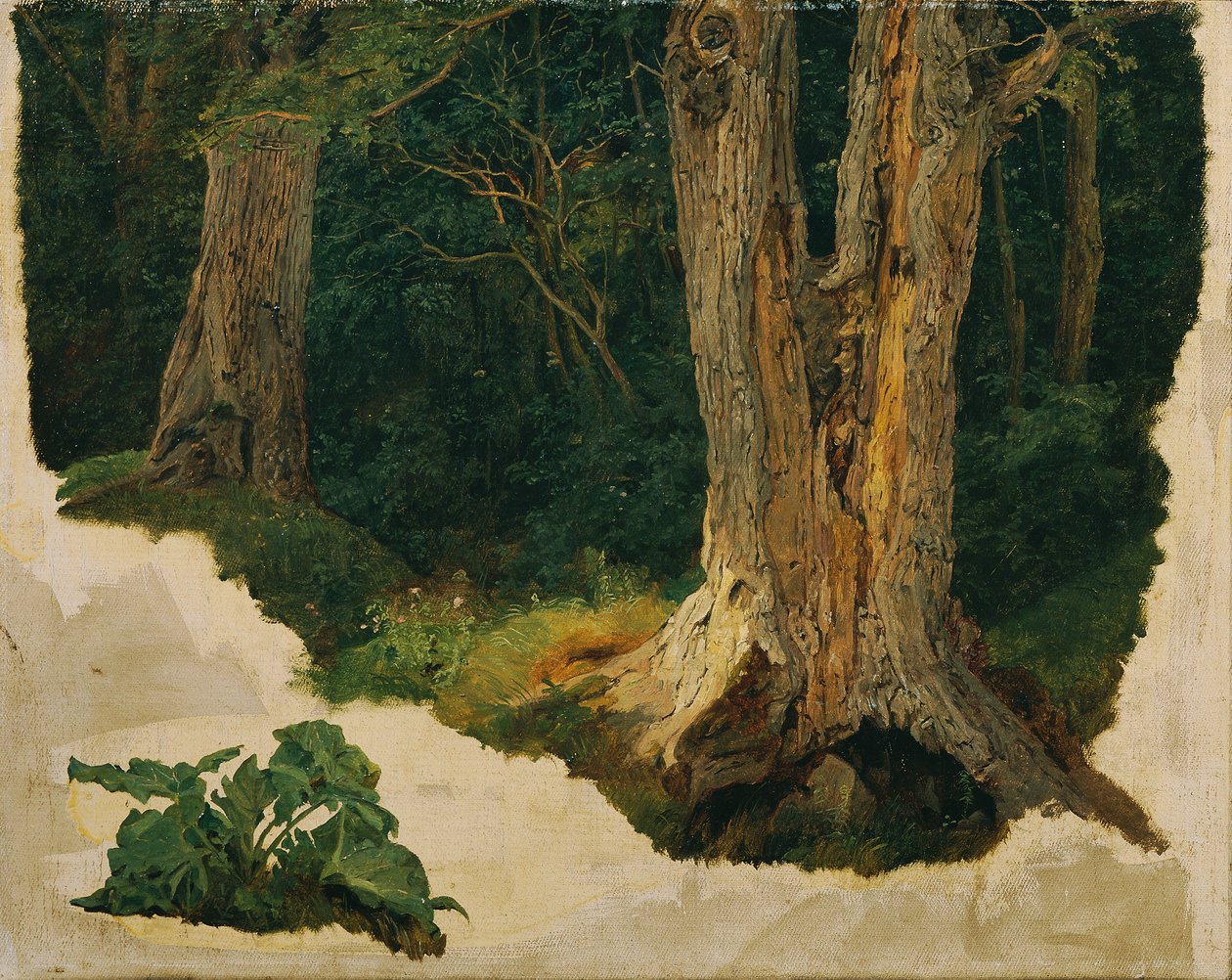 estudio de árboles de Ferdinand Georg Waldmuller