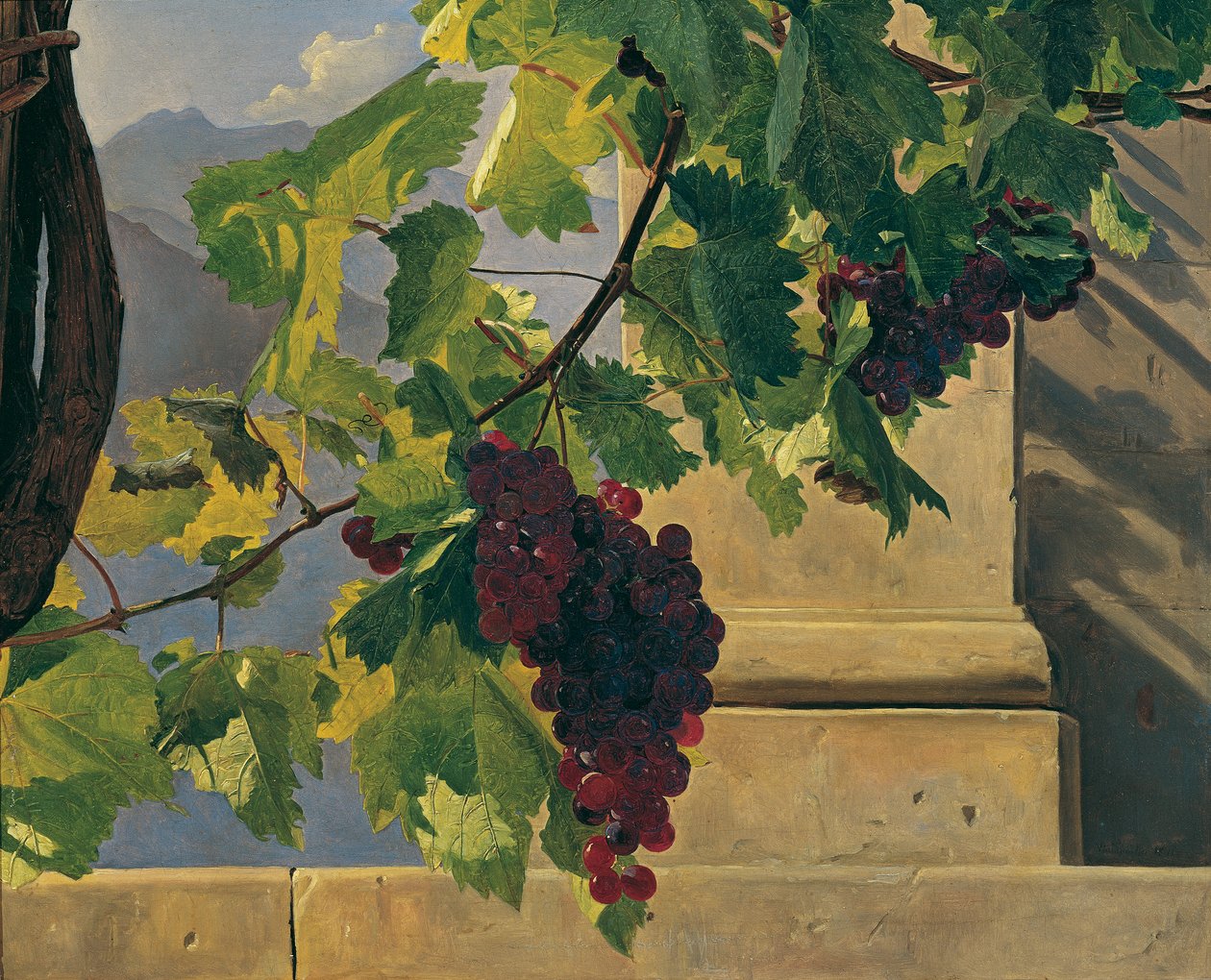Racimo de uvas de Ferdinand Georg Waldmuller