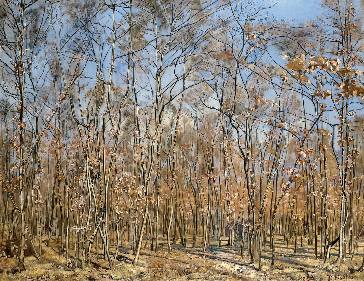 Bosque de hayas, 1885-1894 de Ferdinand Hodler