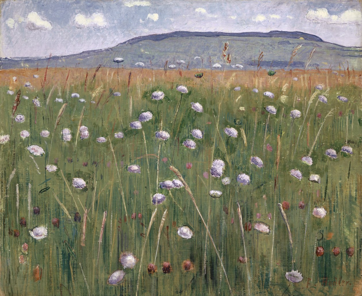 Pieza de pradera, c.1901 de Ferdinand Hodler