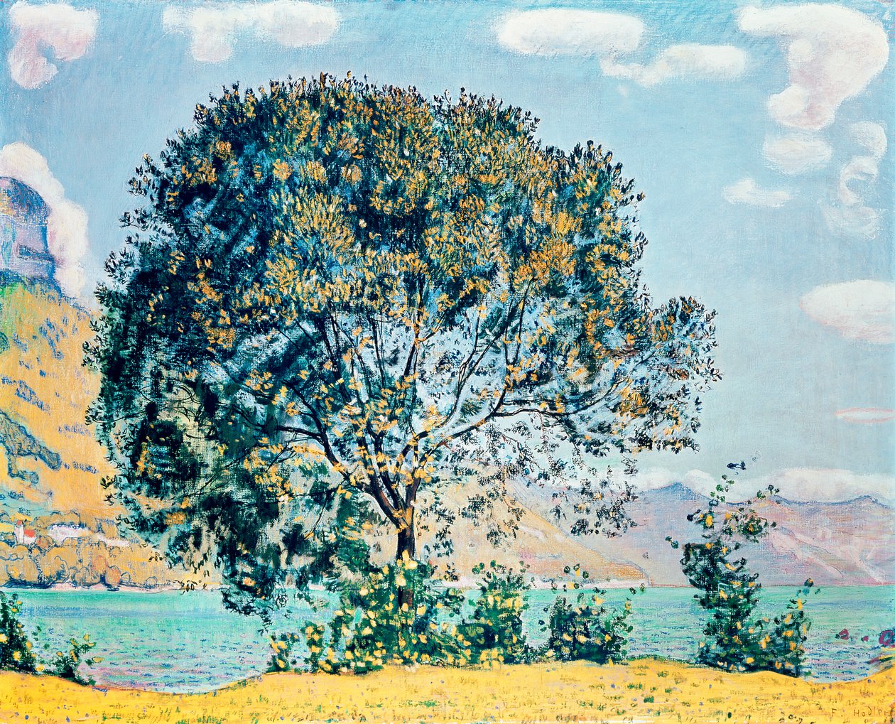 Imagen desconocida de Ferdinand Hodler